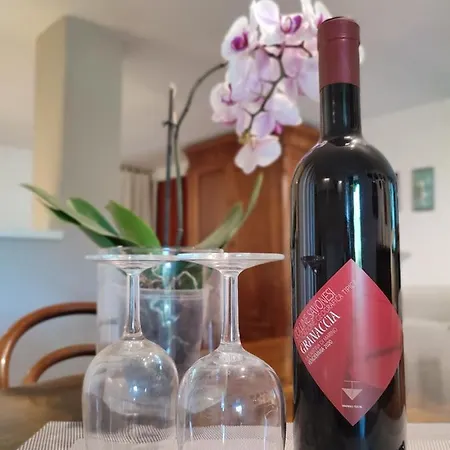 Independent With A Fabulous Patio - Casa Penny Cisano sul Neva